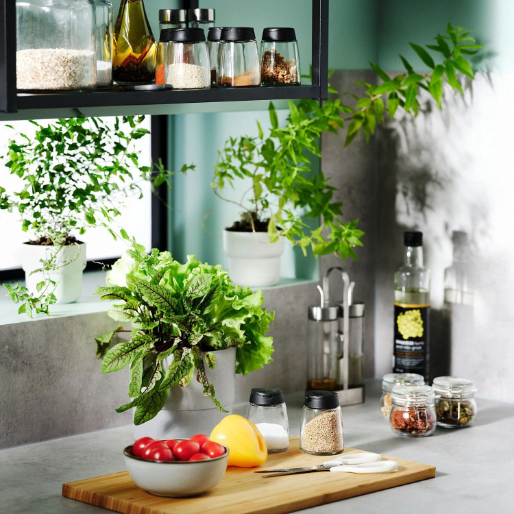 جای ادویه ایکیا IKEA 365+ IHARDIG، طراحی شیک و مینیمال این محصول باعث شده شما بتوانید در هر فضایی از این محصول استفاده کنید.