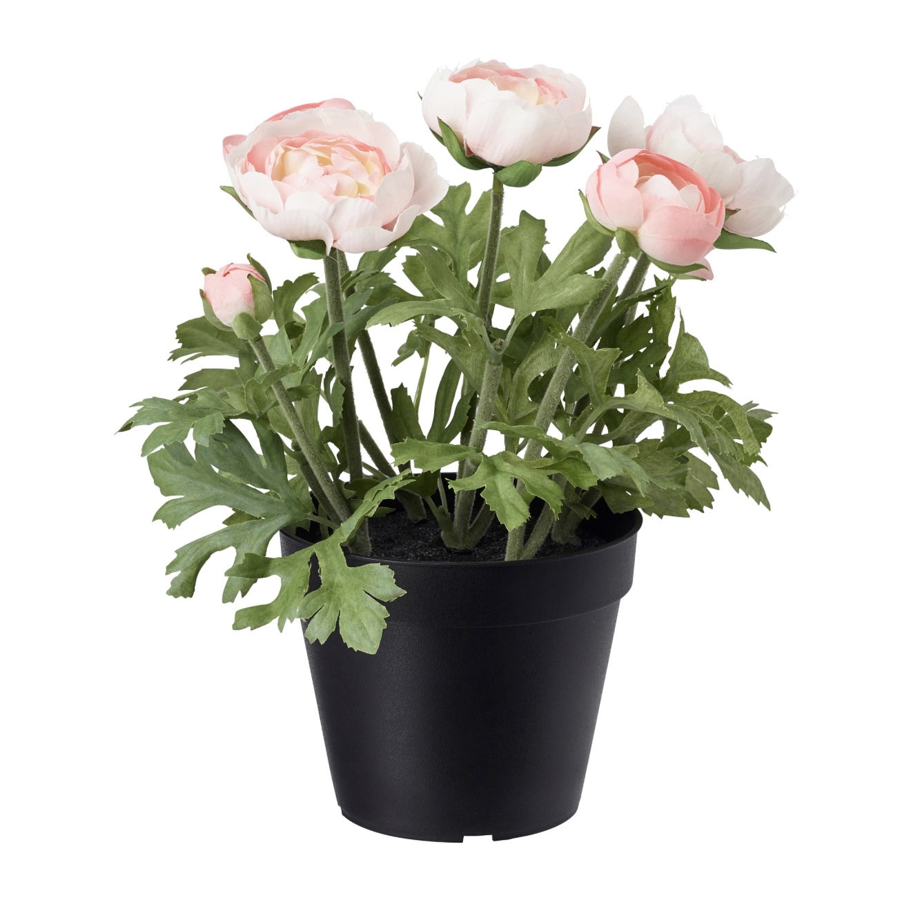 گیاه مصنوعی گلدانی ایکیا مدل FEJKA طرح Ranunculus صورتی قطر ۱۲ سانتی‌متر