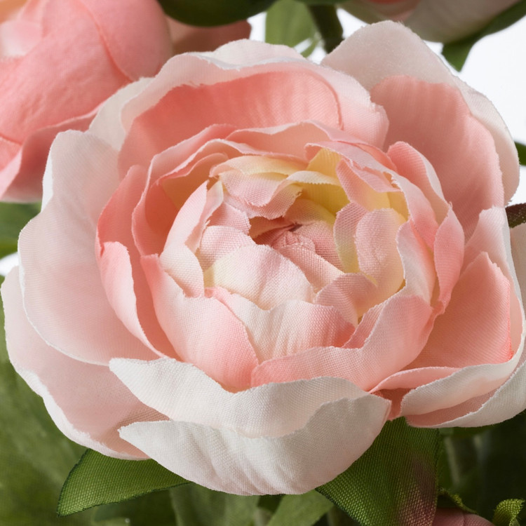گیاه مصنوعی گلدانی ایکیا مدل FEJKA طرح Ranunculus صورتی قطر ۱۲ سانتیمتر